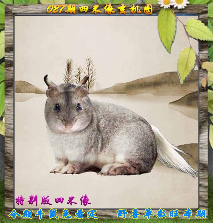 027期四不像特别版[图]