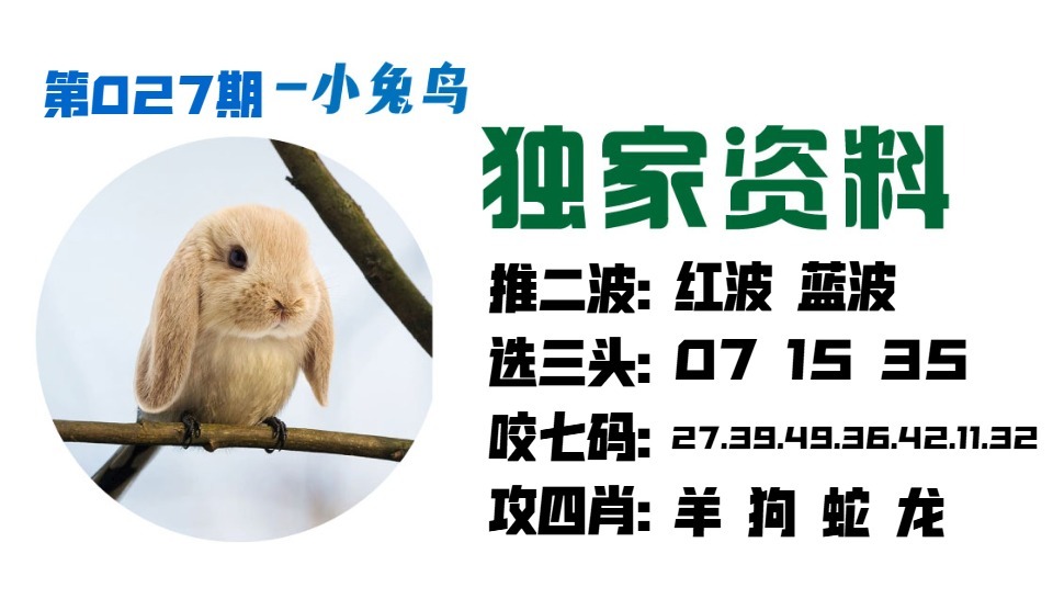 027期小兔鸟[图]